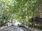 Inventario de los árboles y arbustos de las zonas urbanas de Leganés