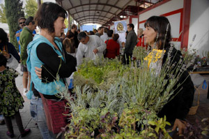 Programa de Agroecología y Desarrollo Local