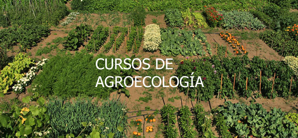 Nuevo curso de agroecología en La Ribera del Jarama