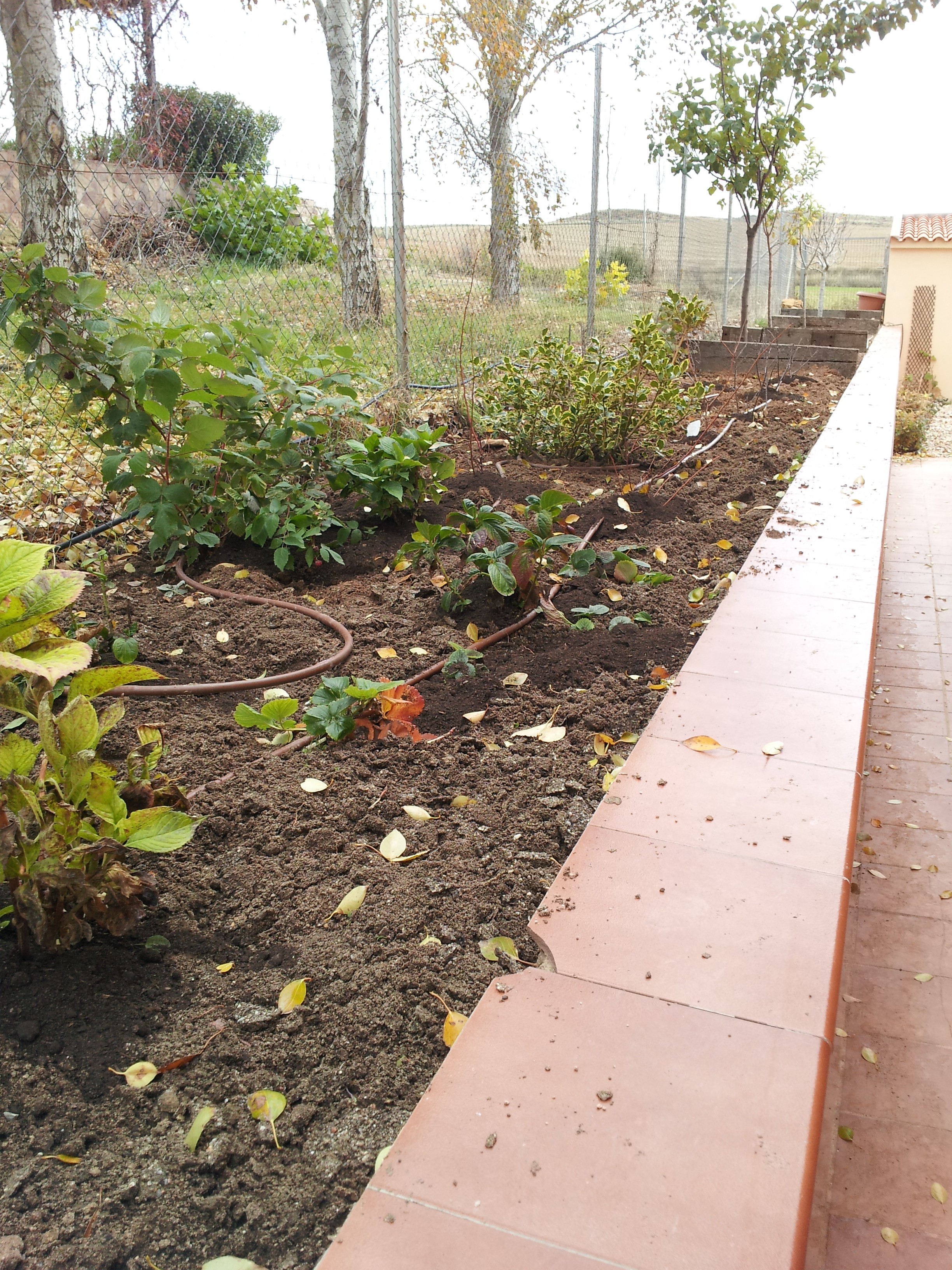 Jardín de fragancias en Hita (Guadalajara)