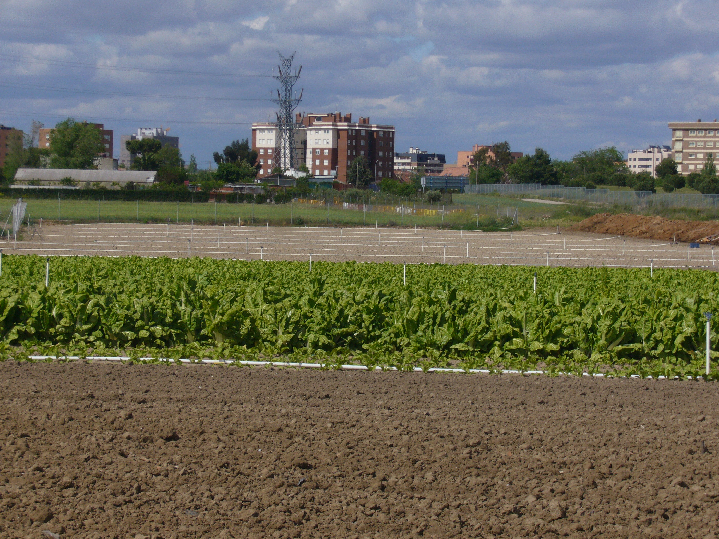 Una delegación del INRA, catedráticos de urbanismo de la UPM y el departamento de Geografía de la Universidad Autónoma de Madrid visitan el parque agrario de Fuenlabrada