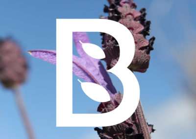 BIOATLASAPP