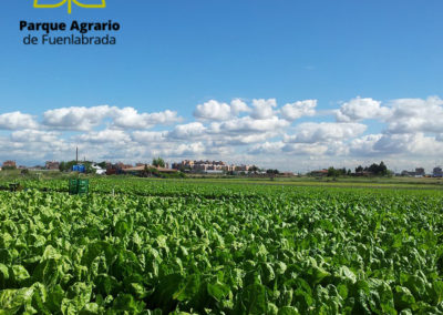 Parque Agrario de Fuenlabrada