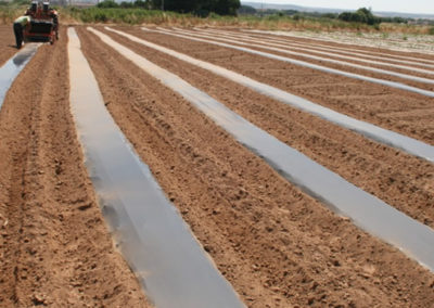 Servicio de Gestión Integral del Parque Agroecológico del Soto del Grillo