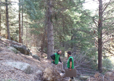 Reforestación del Bosque Mediterráneo del Parque de la Pedriza