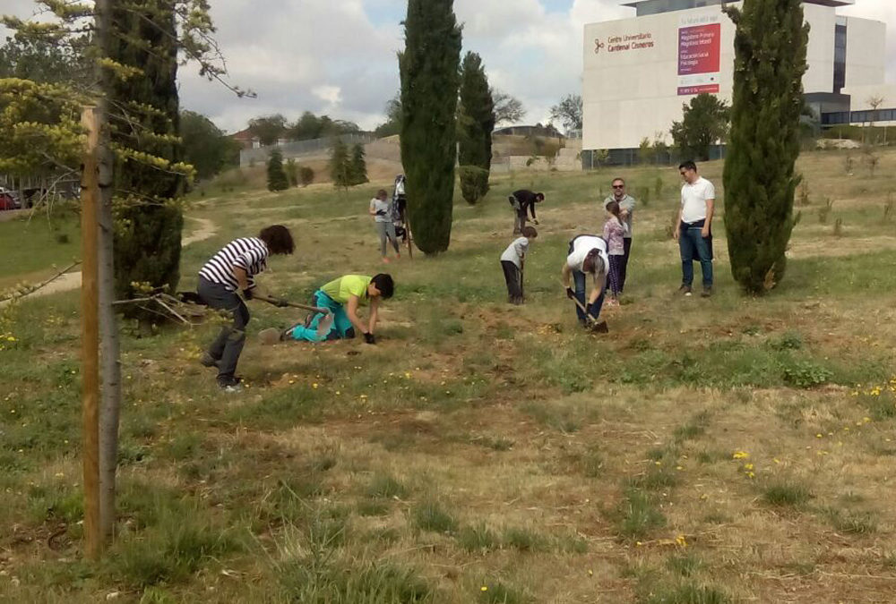 Plantación en el Bosque del Quijote, en Alcalá de Henares (Madrid). Año 2017