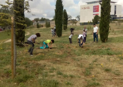 Plantación en el Bosque del Quijote, en Alcalá de Henares (Madrid). Año 2017