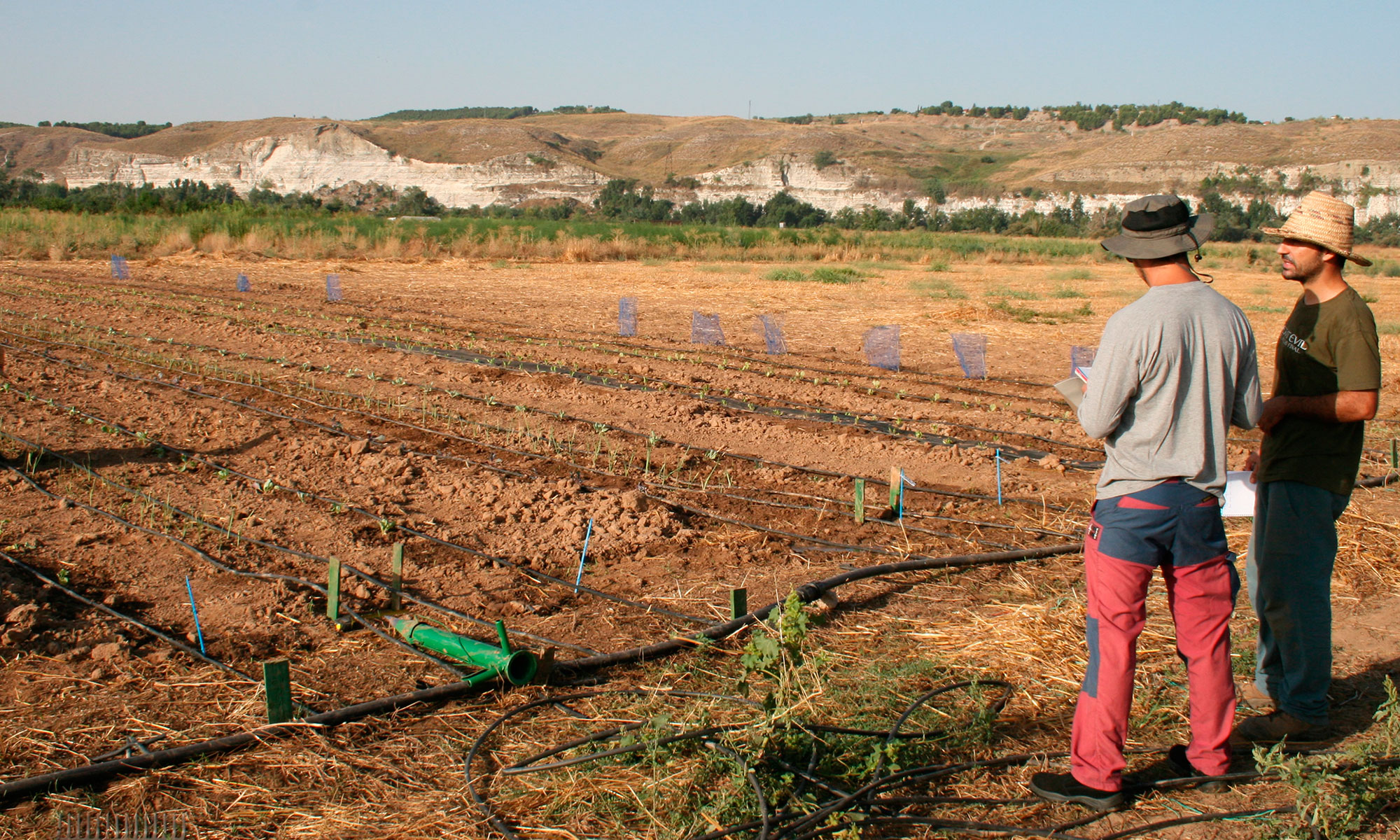 Asistencia agrícola en Madrid, España. Custodia del territorio