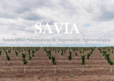 Sembrando Alternativas de Innovación Agroecológica