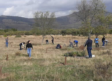 Actividad de Voluntariado Ambiental del 19 de octubre