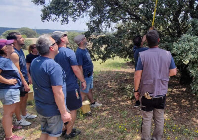 Actividad con SEPRA en Las Rozas de Madrid y custodia del territorio