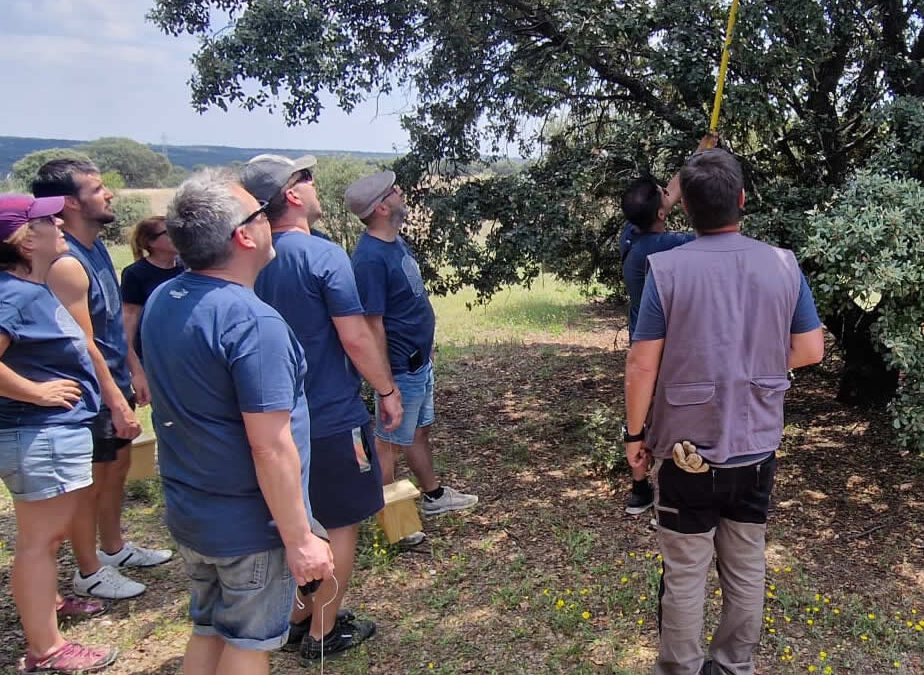 Actividad con SEPRA en Las Rozas de Madrid y custodia del territorio