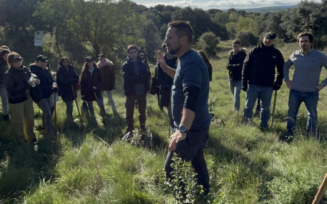 EmBoscadas: El proyecto de Heliconia, reforestando en la Sierra Norte de Madrid