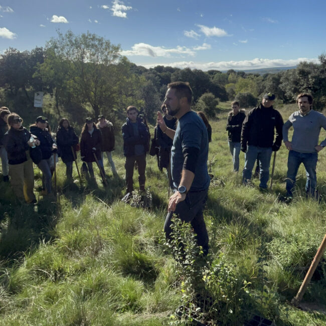 EmBoscadas: El proyecto de Heliconia, reforestando en la Sierra Norte de Madrid