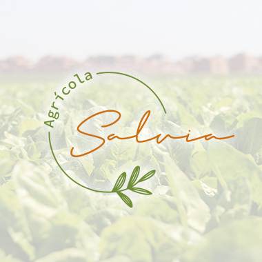 Agrícola Salvia · Producción hortícola de Madrid