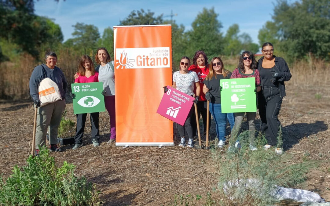 Actividad de Voluntariado en el Gran Parque de Espartales: Plantación de Árboles y Arbustos para la Biodiversidad