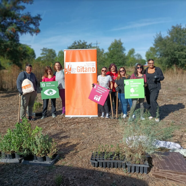 Actividad de Voluntariado en el Gran Parque de Espartales: Plantación de Árboles y Arbustos para la Biodiversidad