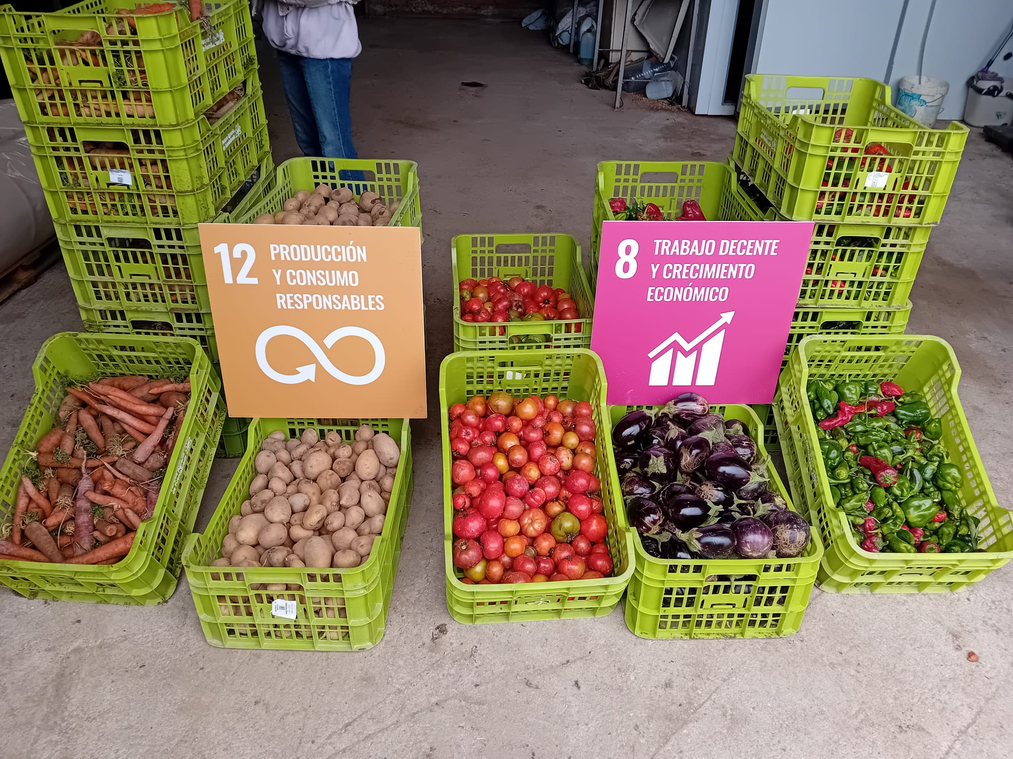 Alimentos recolectados entregados a una organización solidaria en Fuenlabrada.