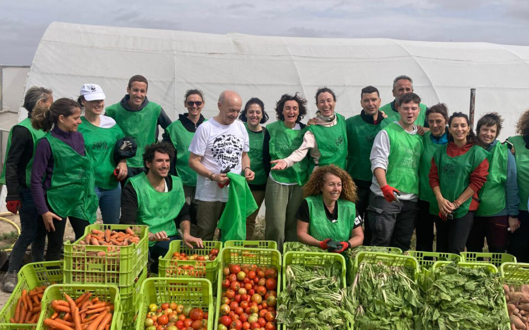 Hacia un sistema agroalimentario más sostenible: Iniciativas de voluntariado socioambiental – Reducción de huella