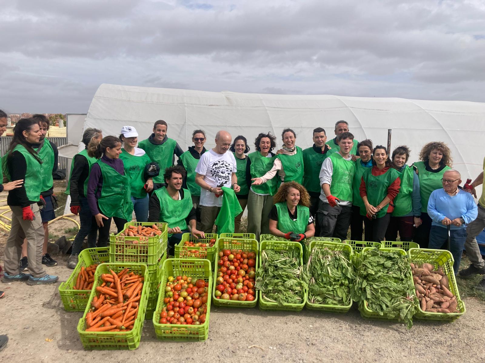 Cultivos sostenibles del proyecto Agrícola Salvia, orientados a la producción local.