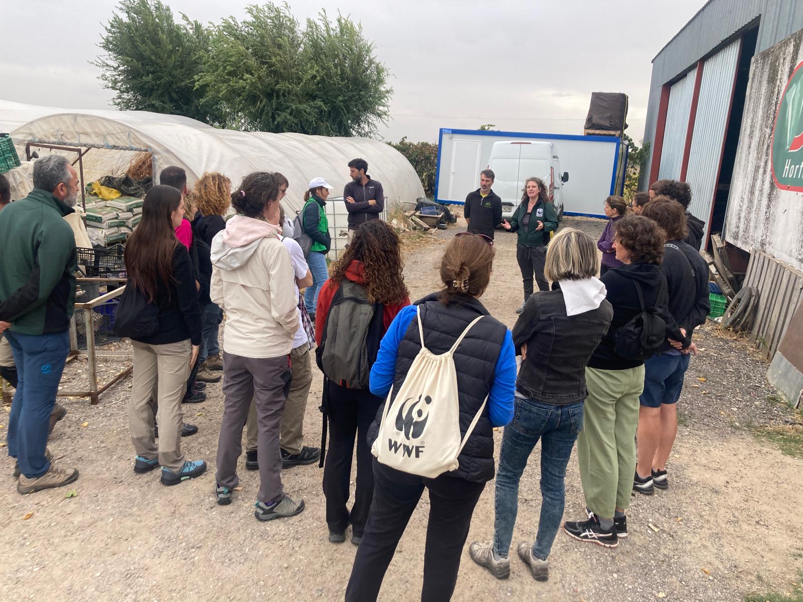 Personas voluntarias recogiendo alimentos en una finca experimental para evitar su desperdicio.