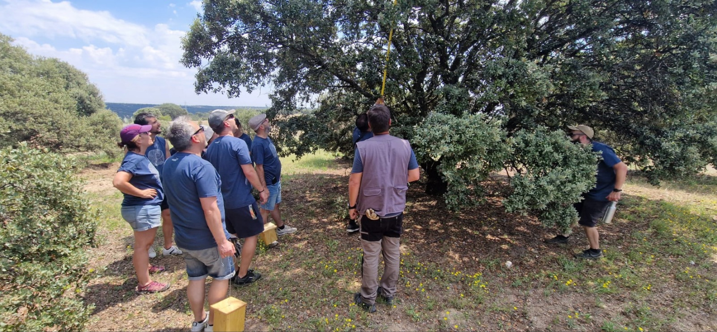 Diversas actividades ecológicas realizadas en la finca Las Ceudas para fomentar la biodiversidad.