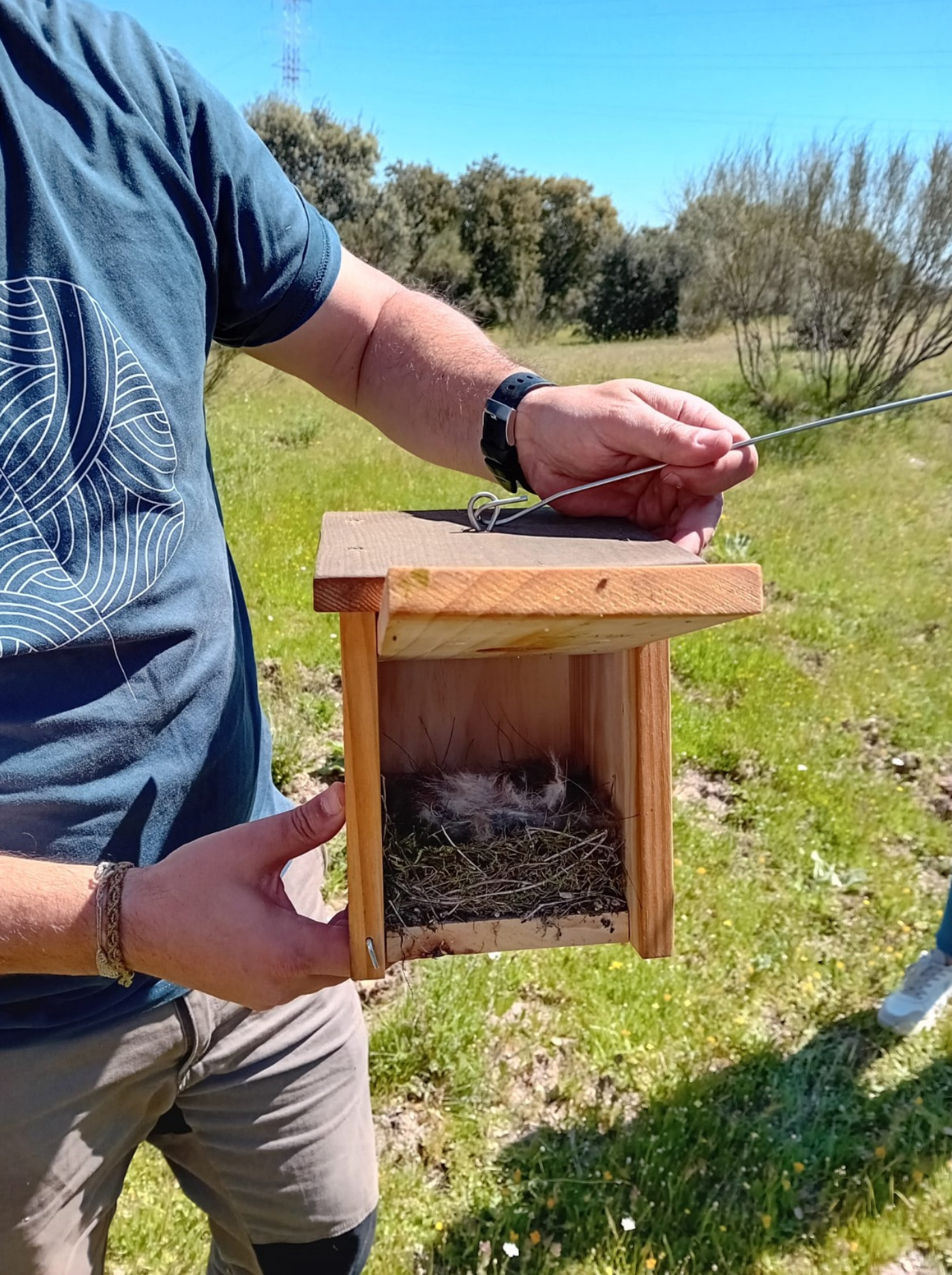 Voluntarios del Grupo Heliconia limpiando las cajas nido en la finca Las Ceudas de Las Rozas Madrid