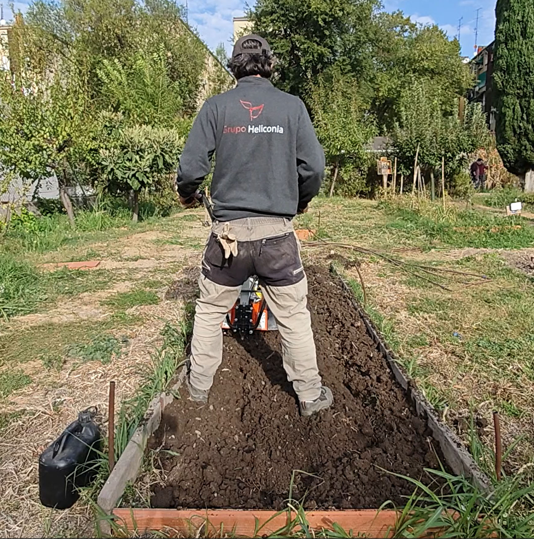 Descubre cómo la renaturalización de olivares en el barrio Oeste de Rivas está fortaleciendo la biodiversidad y creando espacios verdes más resilientes.