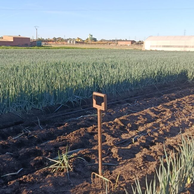  Proyecto para consolidar un sistema alimentario de proximidad